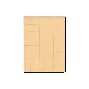 Graph Paper: 9” X 12”
