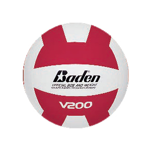 [8059037105] Volleyball