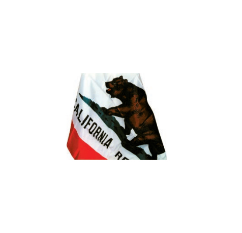 [3507065410] California Bear Flag 8’ X 12’