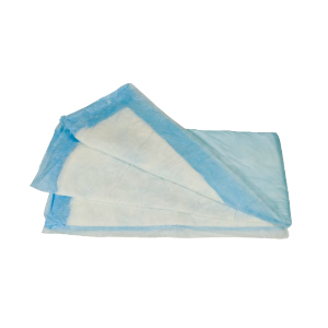 [4756400349] Underpad