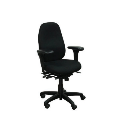 [4206025069] Ergonomic Chair