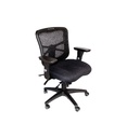 Ergonomic Chair