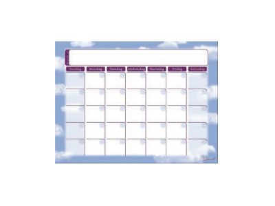 Dry Erase Monthly Calendar