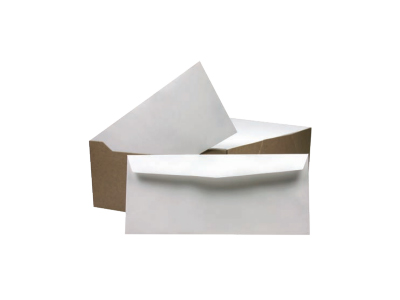 [3103056070] Regular Envelopes