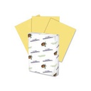 Colored Bond Paper Buff