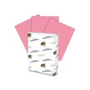 Colored Bond Paper Cherry